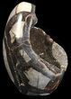 Polished Septarian Geode Sculpture - Black Crystals #55014-1